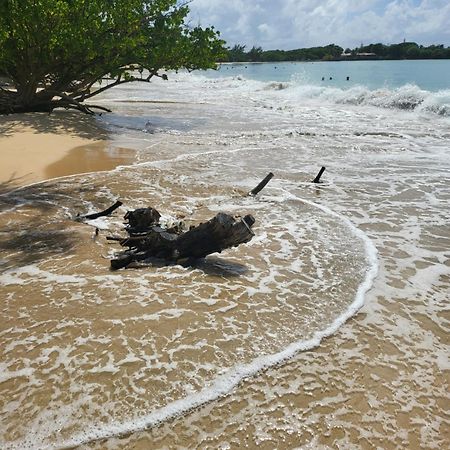 Appartamento Sud Madinina - Sainte Anne Esterno foto